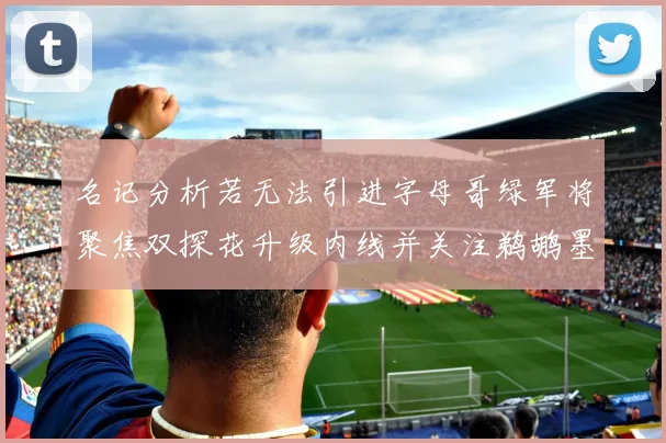 名记分析若无法引进字母哥绿军将聚焦双探花升级内线并关注鹈鹕墨菲