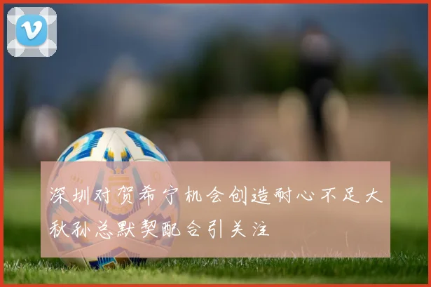 深圳对贺希宁机会创造耐心不足大秋孙总默契配合引关注